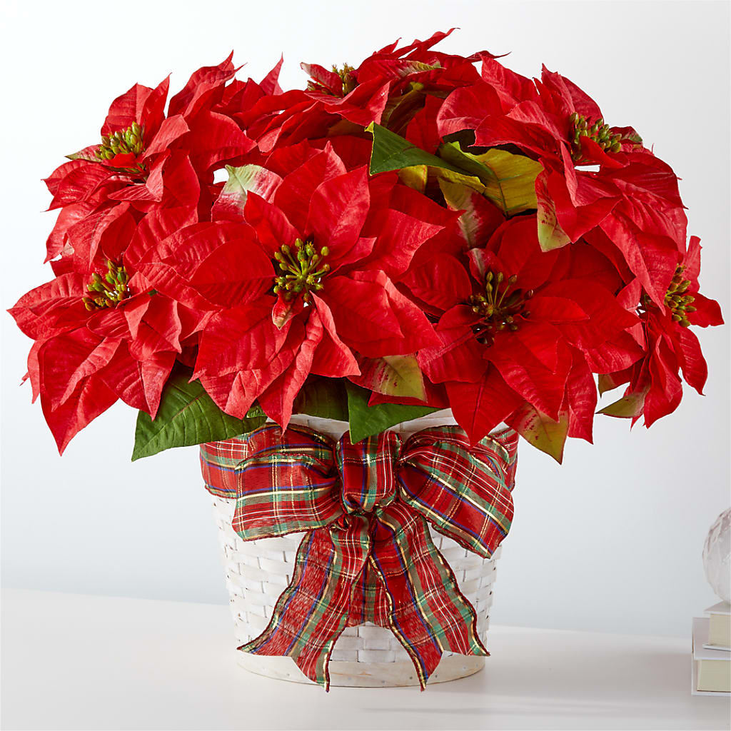 Happiest Holidays Poinsettia – Wheeling Flower Shop Inc, Wheeling WV