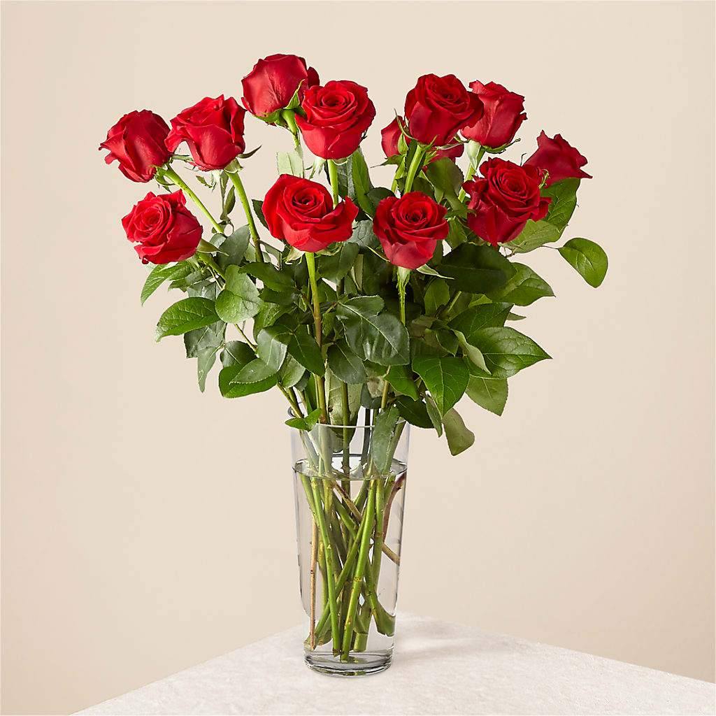 Long Stem Red Rose Bouquet – Wheeling Flower Shop Inc, Wheeling WV