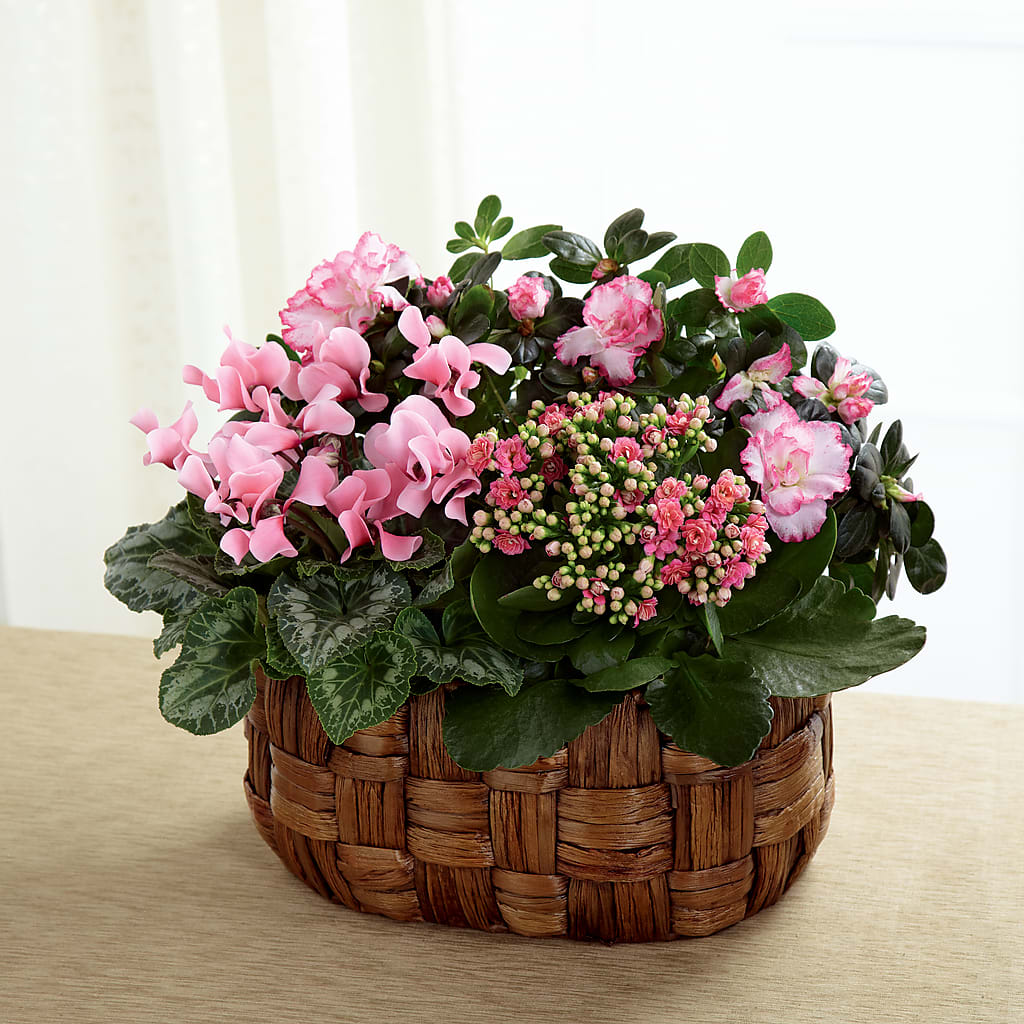 Pink Assortment – Wheeling Flower Shop Inc, Wheeling WV