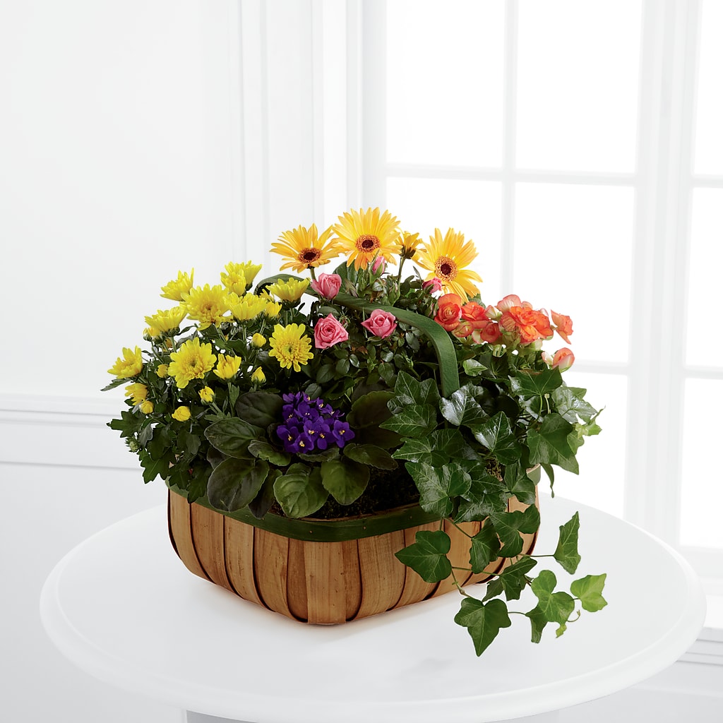 Gentle Blossoms Basket – Wheeling Flower Shop Inc, Wheeling WV