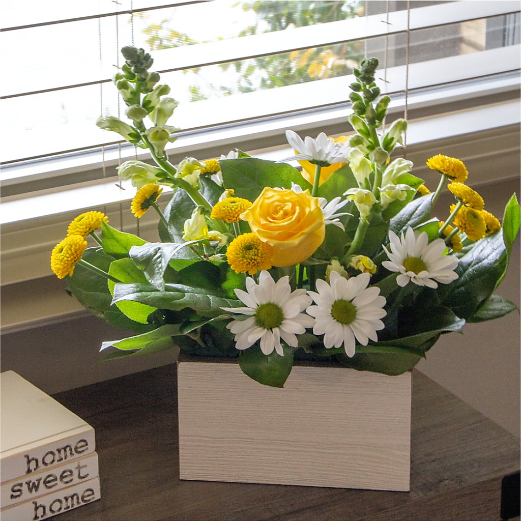 Sun Salutation Box Bouquet – Wheeling Flower Shop Inc, Wheeling WV