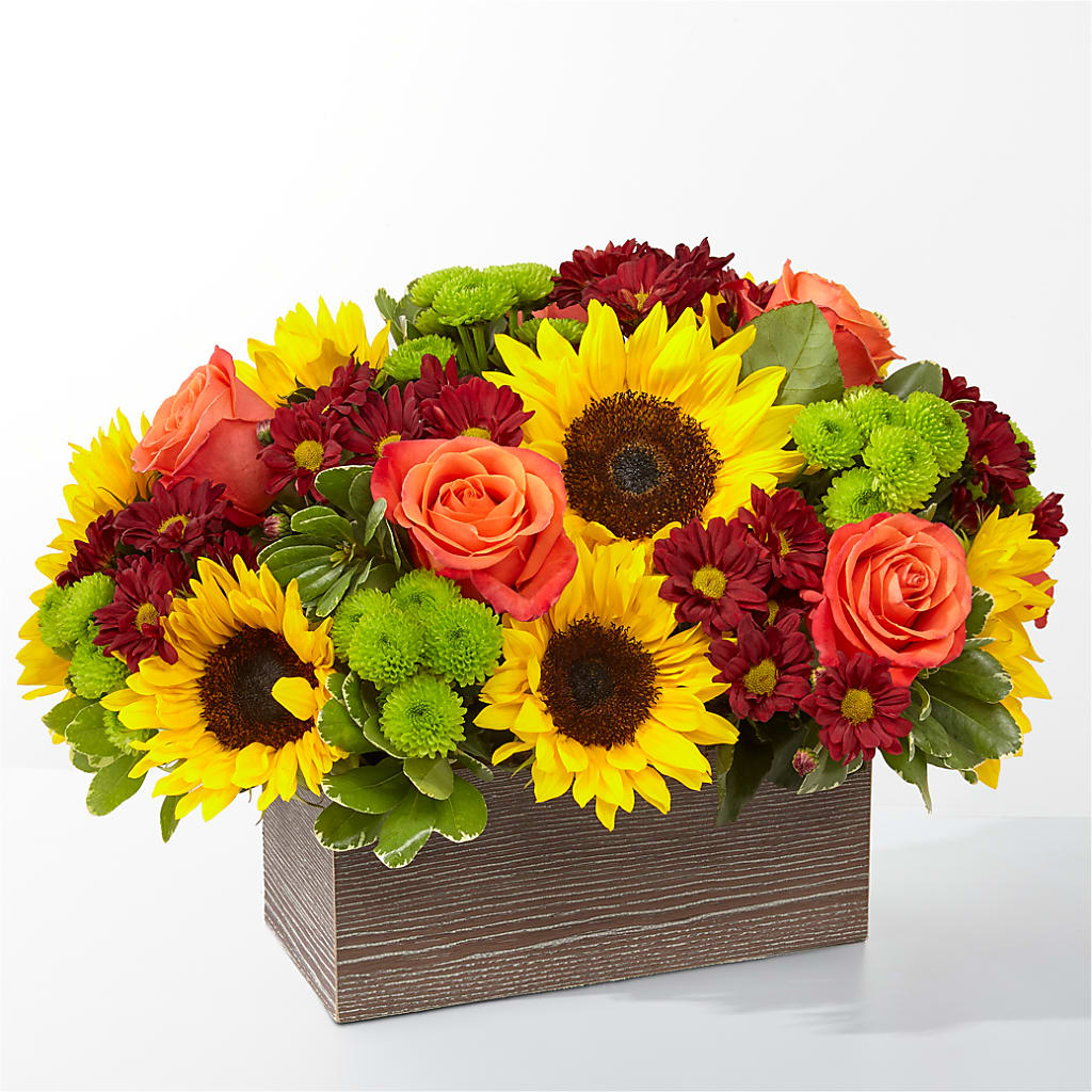 Happy Harvest Garden – Wheeling Flower Shop Inc, Wheeling WV