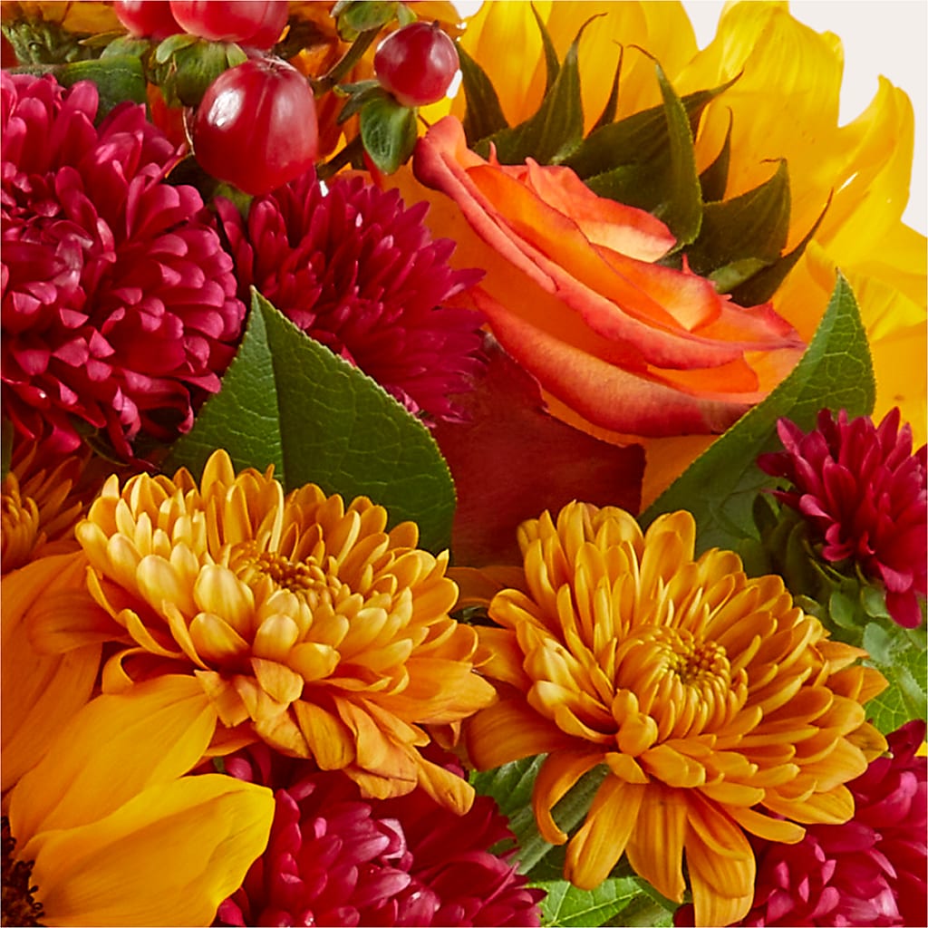 Sweater Season - A Florist Original – Wheeling Flower Shop Inc, Wheeling WV