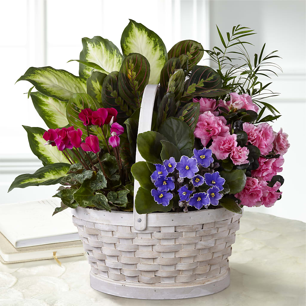 Peaceful Garden Planter – Wheeling Flower Shop Inc, Wheeling WV