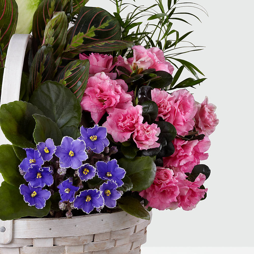 Peaceful Garden Planter – Wheeling Flower Shop Inc, Wheeling WV