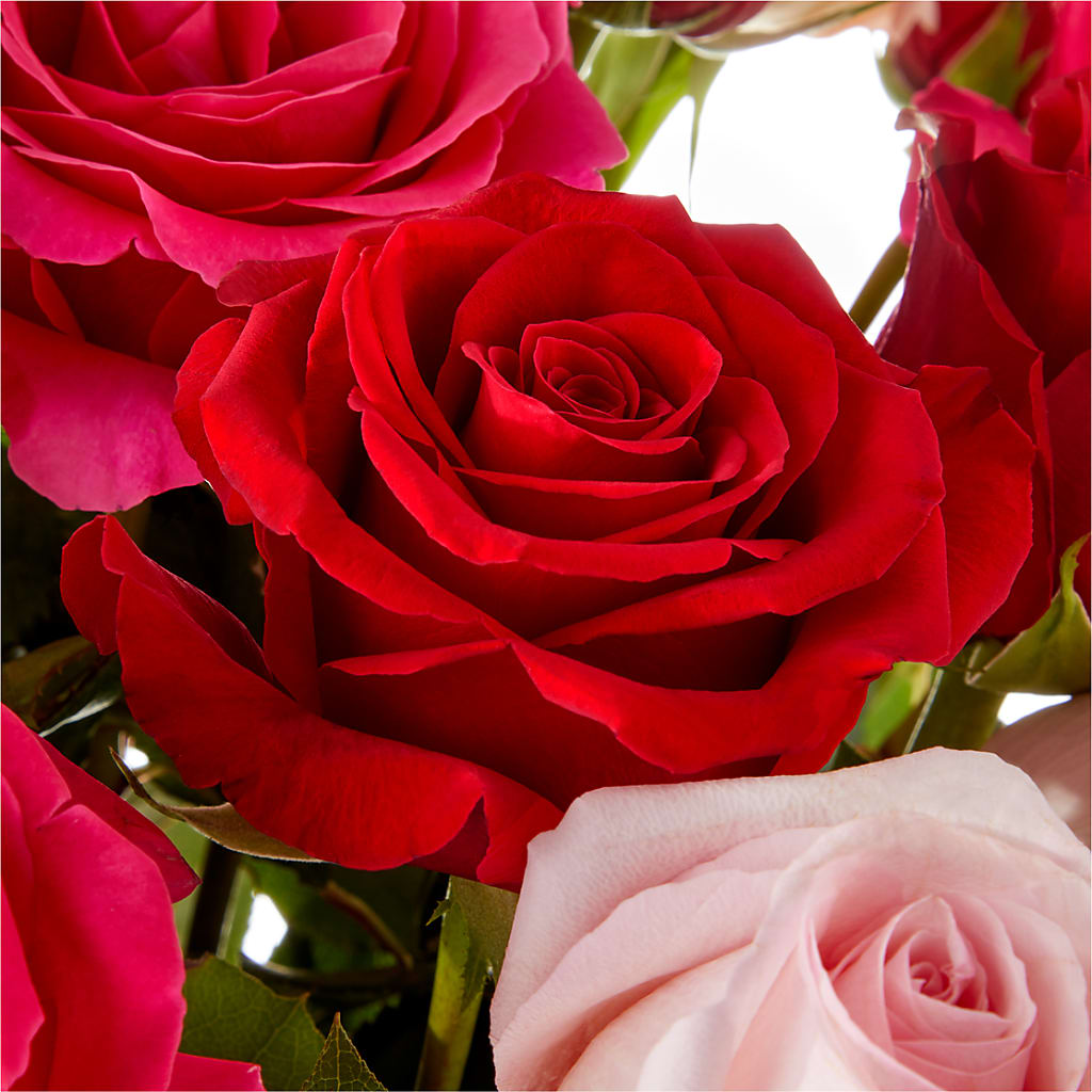 Love Notes Rose Bouquet – Wheeling Flower Shop Inc, Wheeling WV