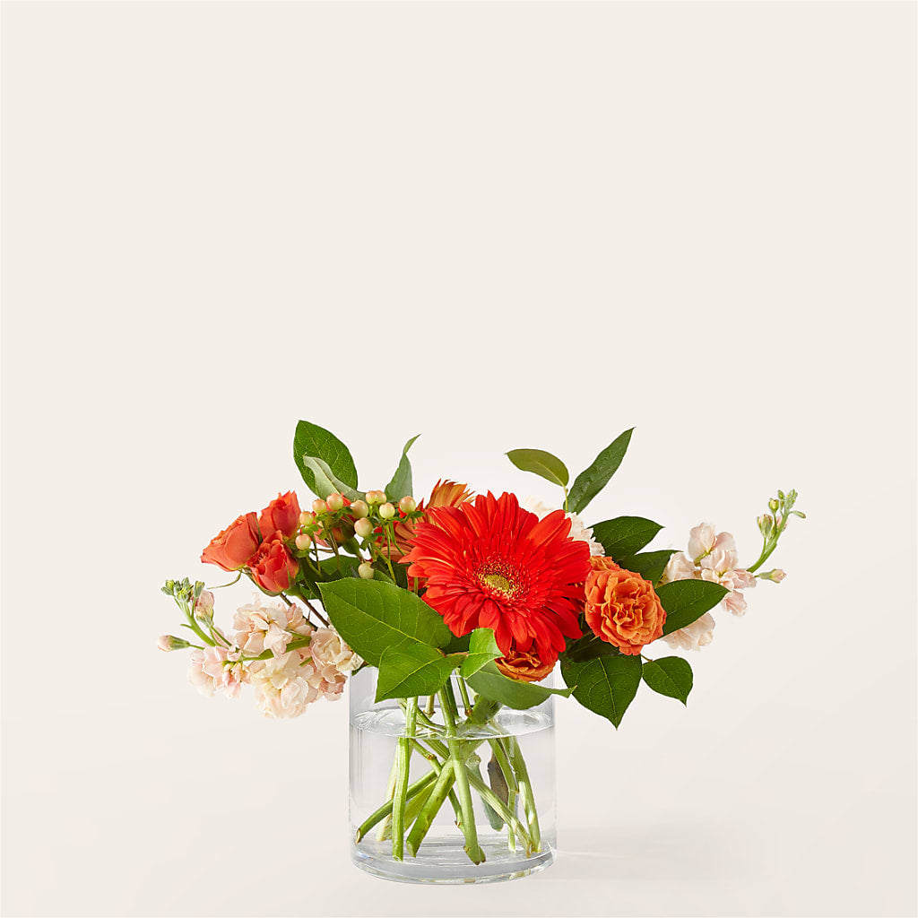 Paloma Please Bouquet – Wheeling Flower Shop Inc, Wheeling WV