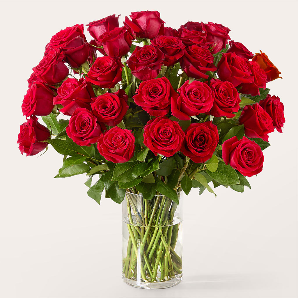 The One Red Rose Bouquet – Wheeling Flower Shop Inc, Wheeling WV