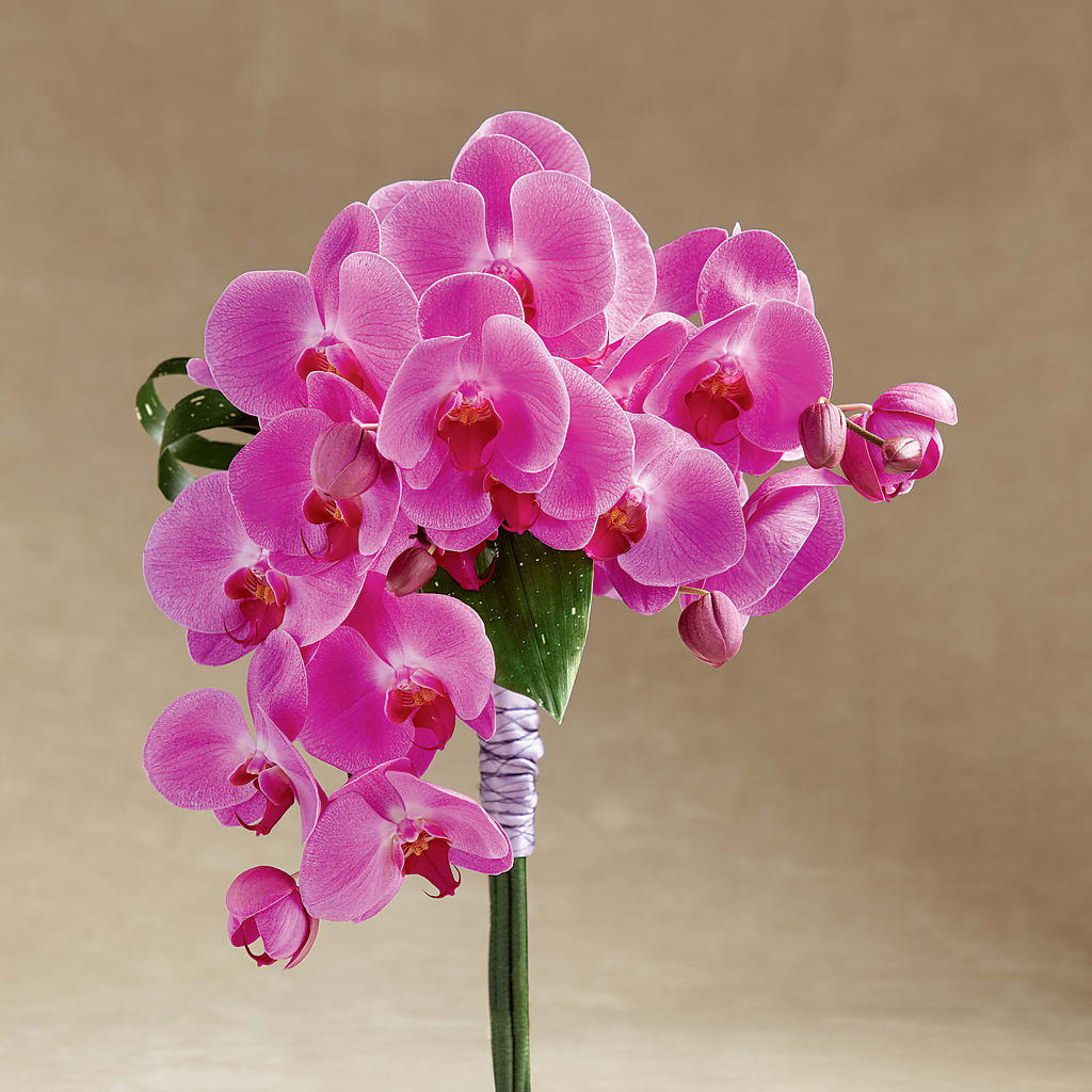 Glorious Bouquet – Wheeling Flower Shop Inc, Wheeling WV