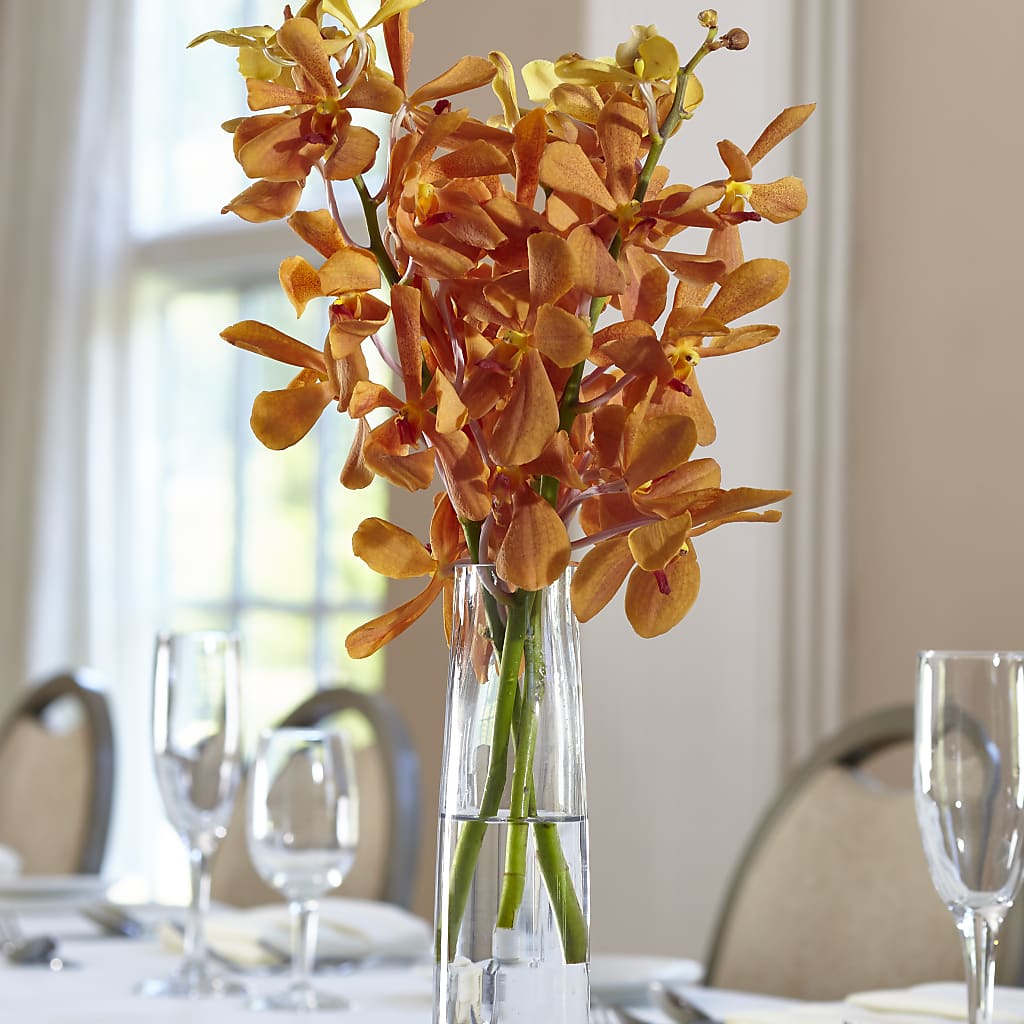 Orange Mokara Bud Vase – Wheeling Flower Shop Inc, Wheeling WV