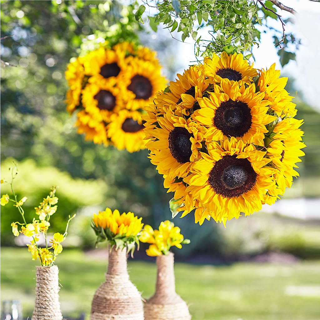 Sublime Garden Hanging Arrangement – Wheeling Flower Shop Inc, Wheeling WV