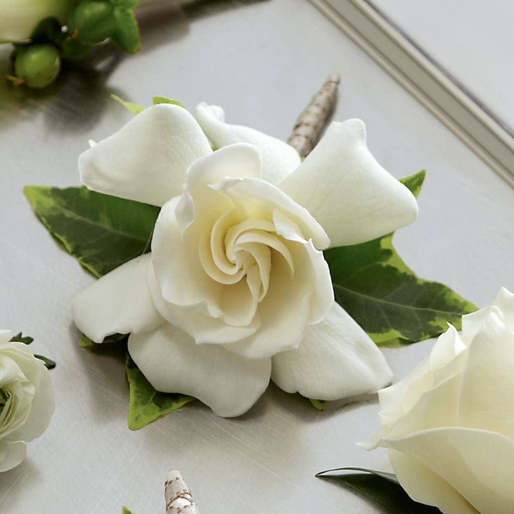 Gardenia Boutonniere – Wheeling Flower Shop Inc, Wheeling WV