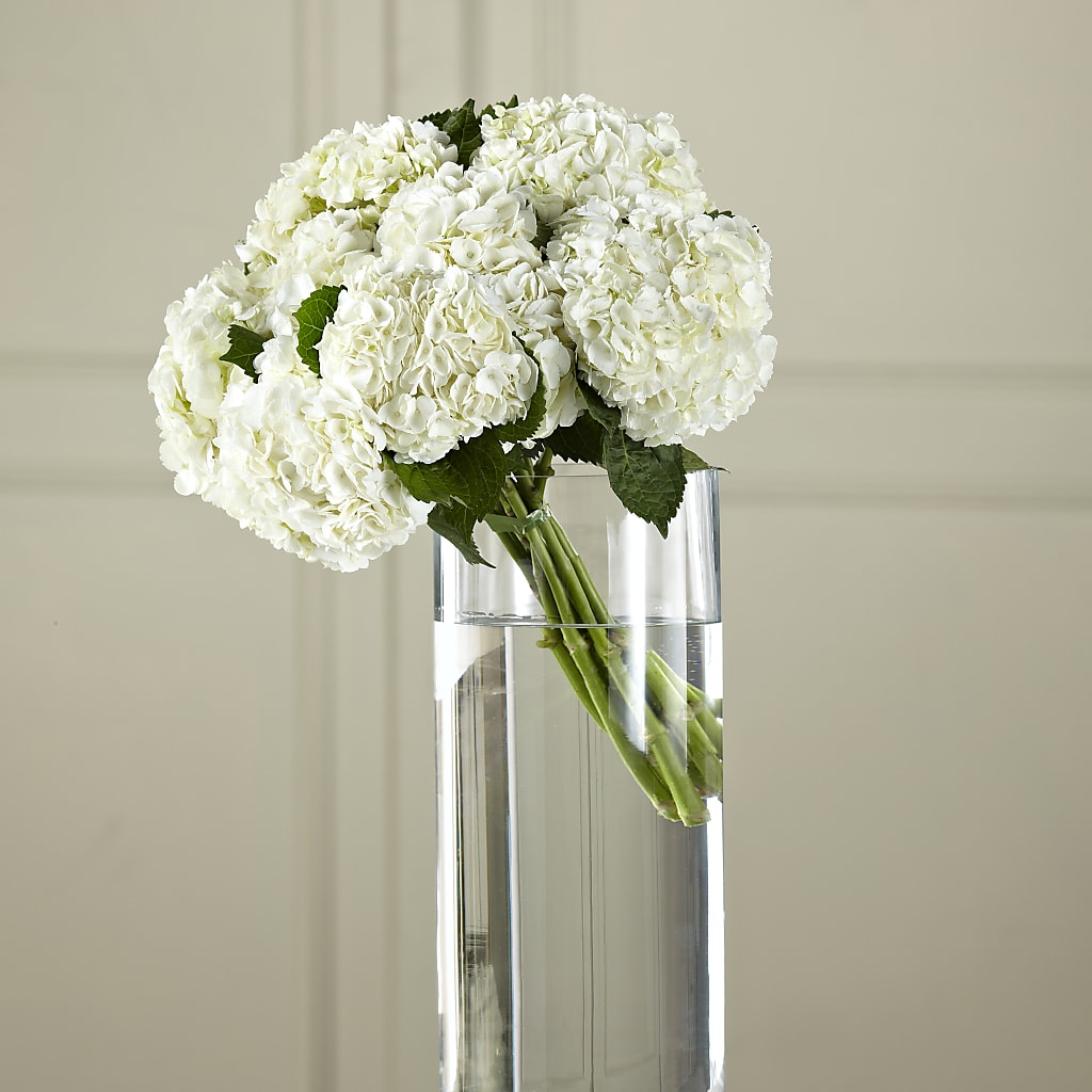 White Hydrangea Hand-Tied Bouquet – Wheeling Flower Shop Inc, Wheeling WV