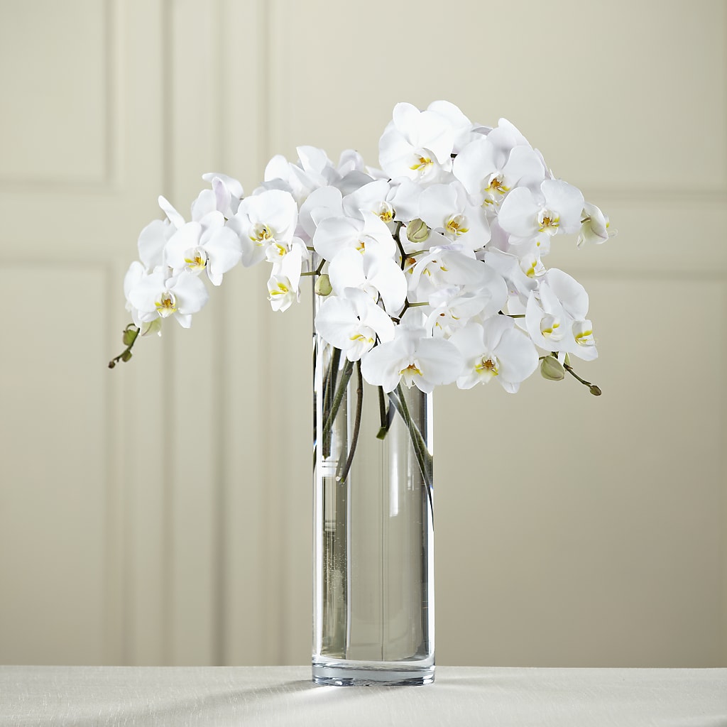 White Phalaenopsis Bouquet – Wheeling Flower Shop Inc, Wheeling WV