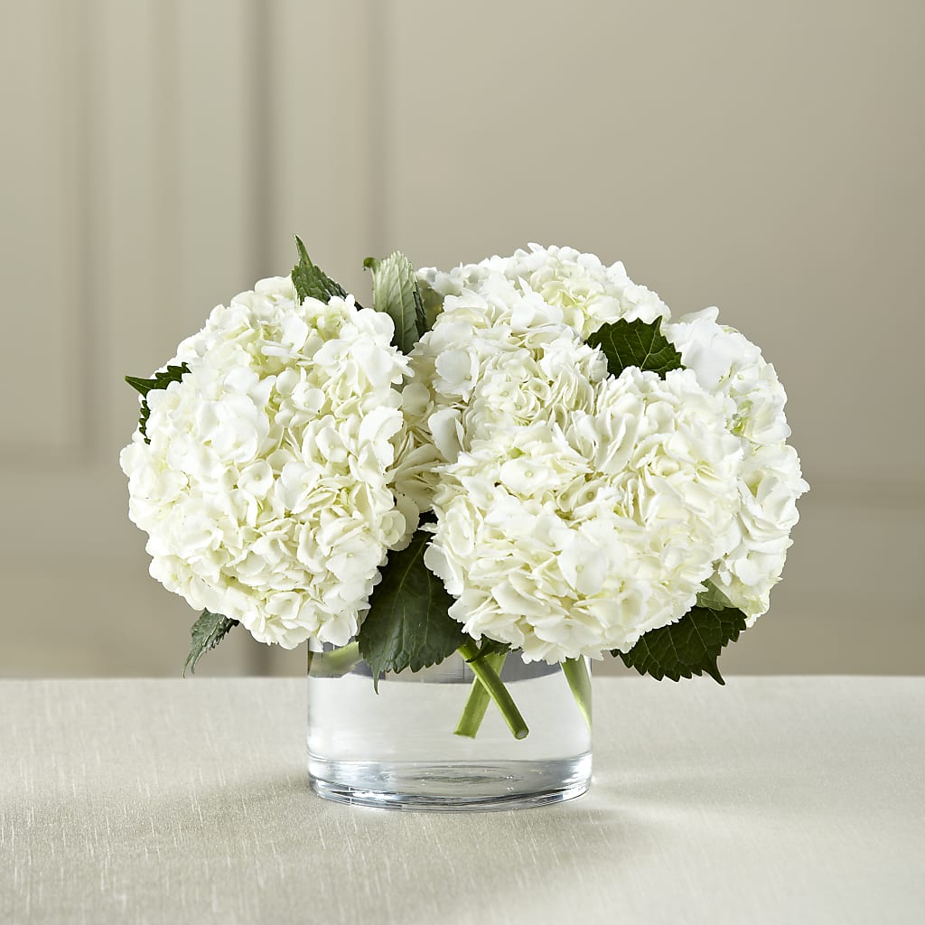 White Hydrangea Bouquet – Wheeling Flower Shop Inc, Wheeling WV
