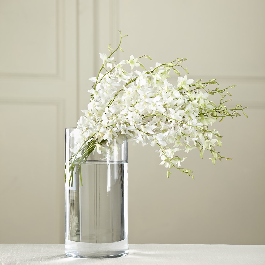 White Dendrobium Bouquet – Wheeling Flower Shop Inc, Wheeling WV