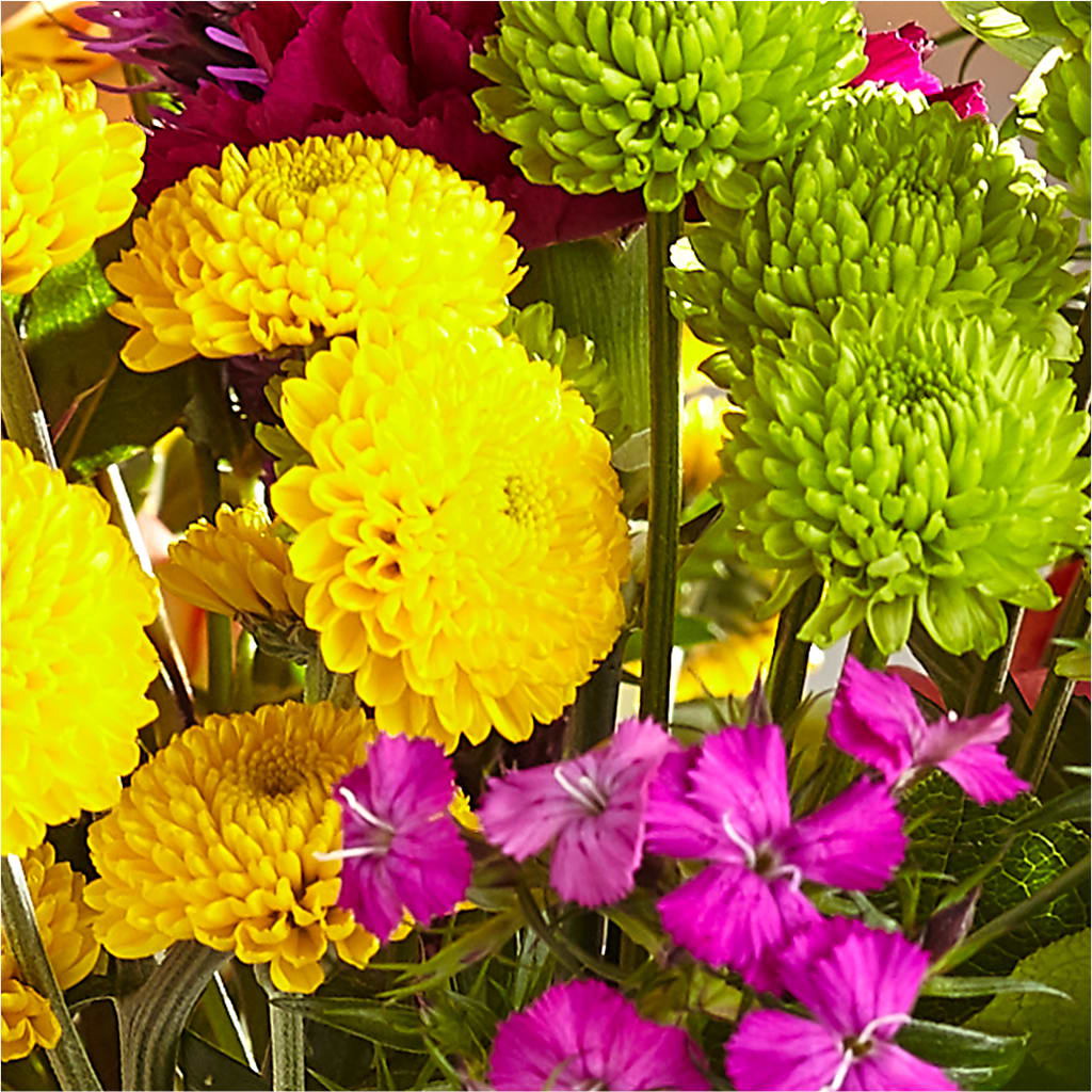 Bold & Bright – A Florist Original –  Wheeling Flower Shop Inc, Wheeling WV