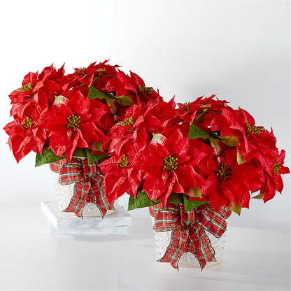 Happiest Holidays Poinsettia Bundle –  Wheeling Flower Shop Inc, Wheeling WV