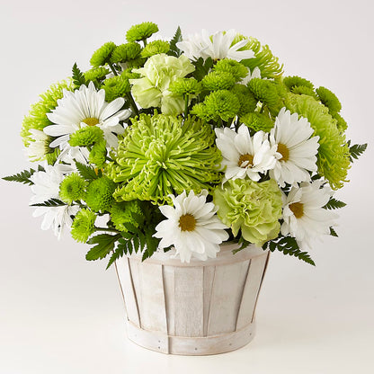 Lucky Charm Basket (Standard) –  Wheeling Flower Shop Inc, Wheeling WV