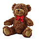 Adorable Plush Bear –  Wheeling Flower Shop Inc, Wheeling WV