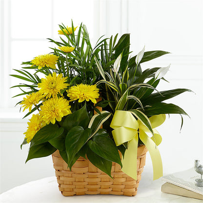 Loving Light Dishgarden –  Wheeling Flower Shop Inc, Wheeling WV
