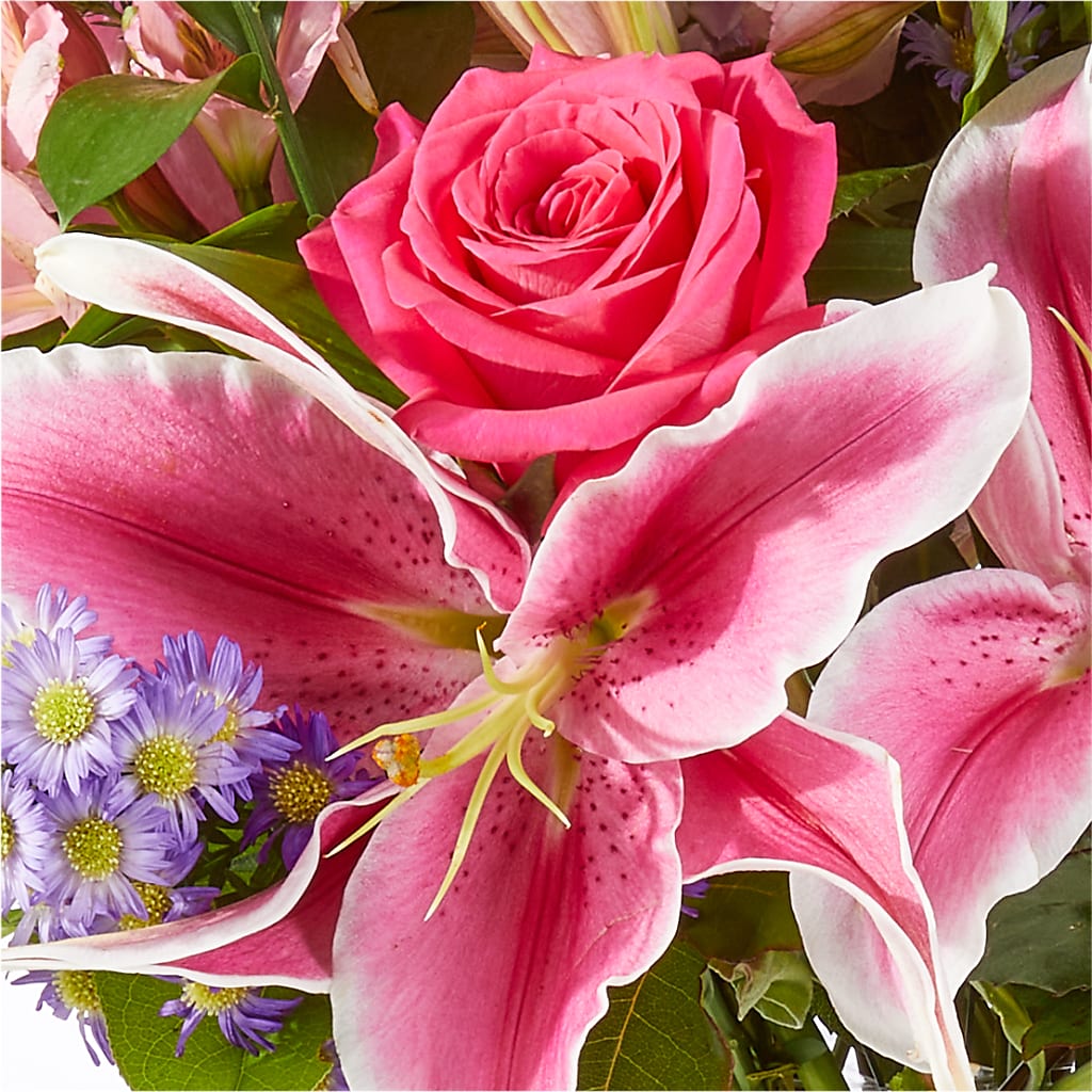 Written in the Stars Bouquet –  Wheeling Flower Shop Inc, Wheeling WV