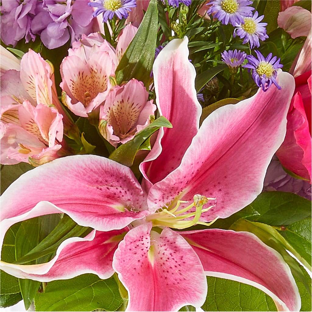 Written in the Stars Bouquet –  Wheeling Flower Shop Inc, Wheeling WV