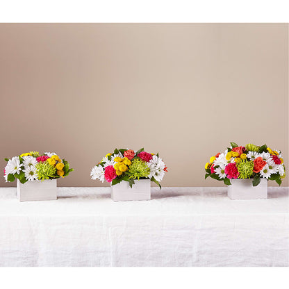 Sorbet Bouquet –  Wheeling Flower Shop Inc, Wheeling WV