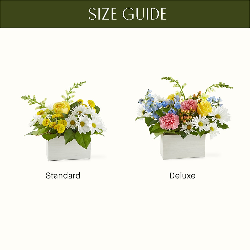 Sun Salutation Box Bouquet –  Wheeling Flower Shop Inc, Wheeling WV