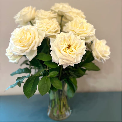 Long Stem Yellow Rose Bouquet –  Wheeling Flower Shop Inc, Wheeling WV