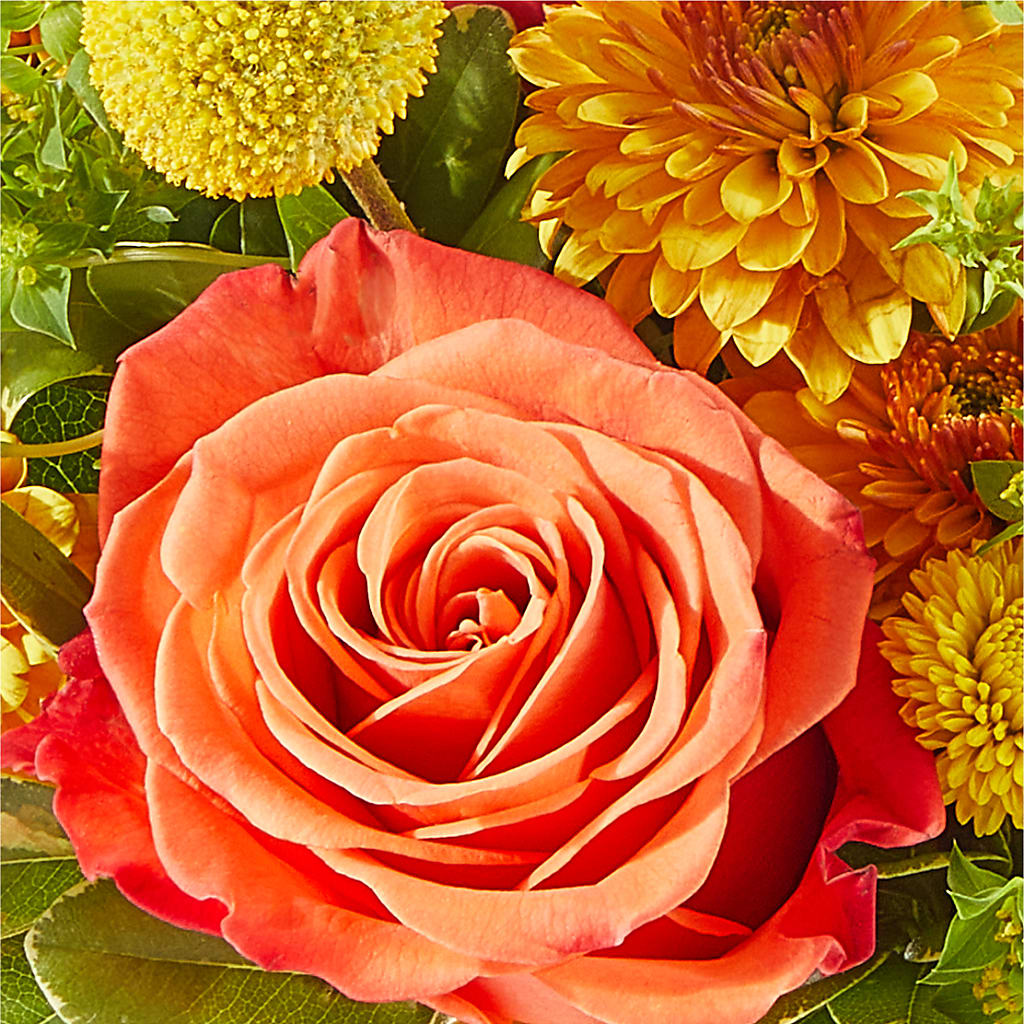 Gourdgeous Pumpkin –  Wheeling Flower Shop Inc, Wheeling WV