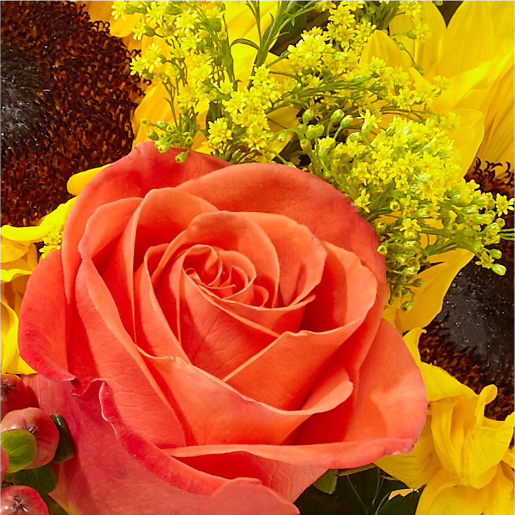 Pick of the Patch Pumpkin Bouquet –  Wheeling Flower Shop Inc, Wheeling WV