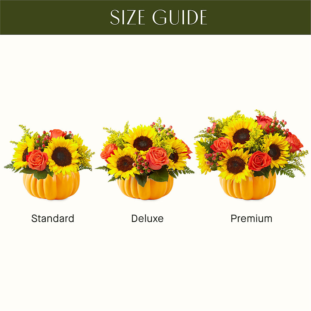 Pick of the Patch Pumpkin Bouquet –  Wheeling Flower Shop Inc, Wheeling WV