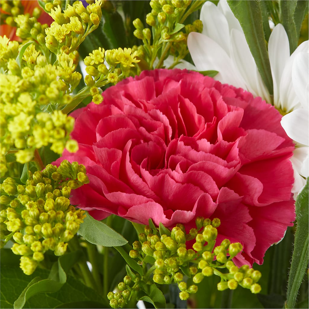 Oopsie Daisy Bouquet –  Wheeling Flower Shop Inc, Wheeling WV