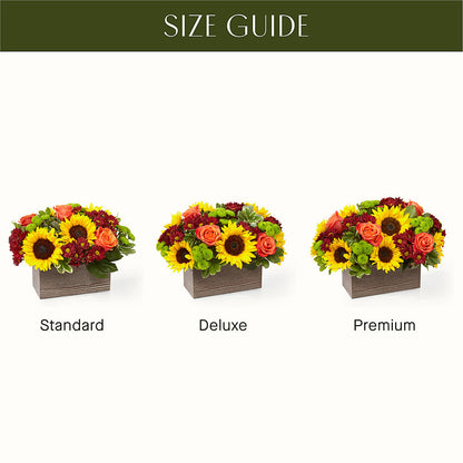 Happy Harvest Garden –  Wheeling Flower Shop Inc, Wheeling WV