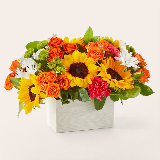 Sun-drenched Blooms Box Bouquet –  Wheeling Flower Shop Inc, Wheeling WV