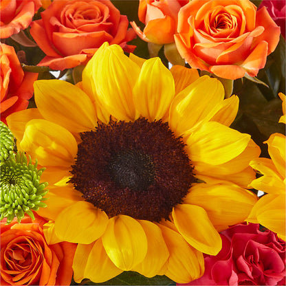 Sun-drenched Blooms Box Bouquet –  Wheeling Flower Shop Inc, Wheeling WV