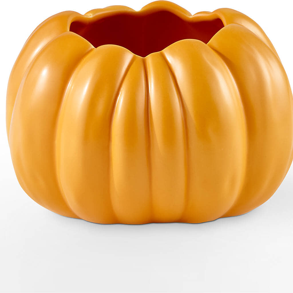 Golden Gourd Pumpkin Bouquet –  Wheeling Flower Shop Inc, Wheeling WV