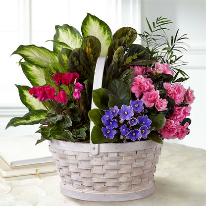 Peaceful Garden Planter –  Wheeling Flower Shop Inc, Wheeling WV