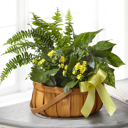 Always Dear Dishgarden –  Wheeling Flower Shop Inc, Wheeling WV
