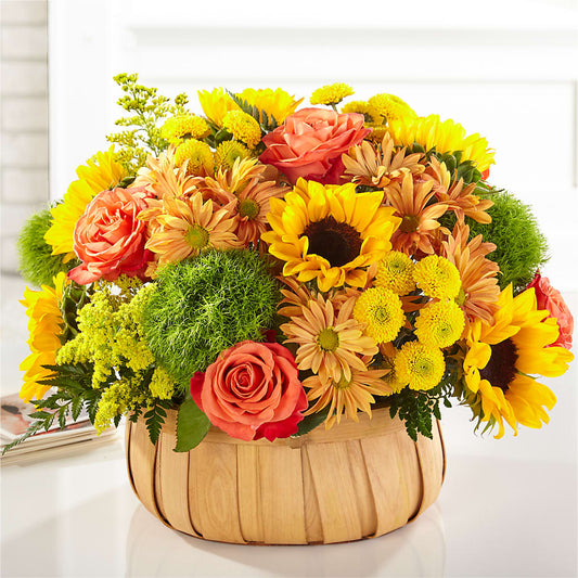 Harvest Sunflower Basket –  Wheeling Flower Shop Inc, Wheeling WV