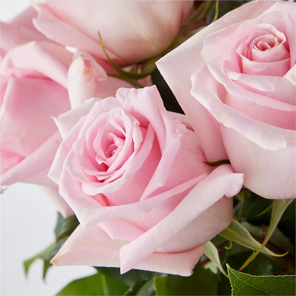 Picture Perfect Pink Rose Bouquet –  Wheeling Flower Shop Inc, Wheeling WV