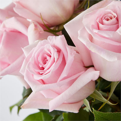 Picture Perfect Pink Rose Bouquet –  Wheeling Flower Shop Inc, Wheeling WV