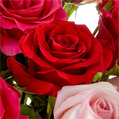 Love Notes Rose Bouquet –  Wheeling Flower Shop Inc, Wheeling WV