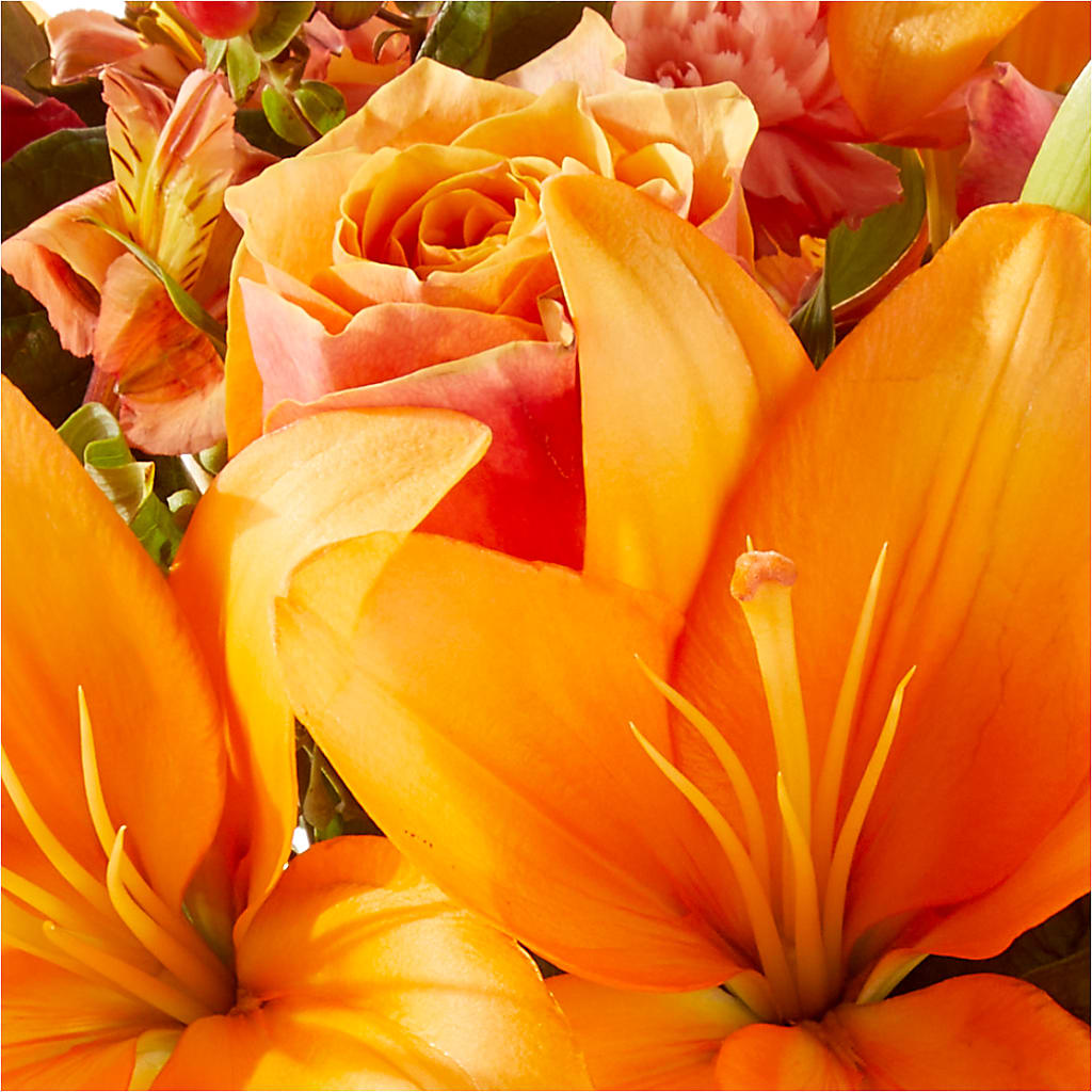 Afternoon Light Bouquet –  Wheeling Flower Shop Inc, Wheeling WV