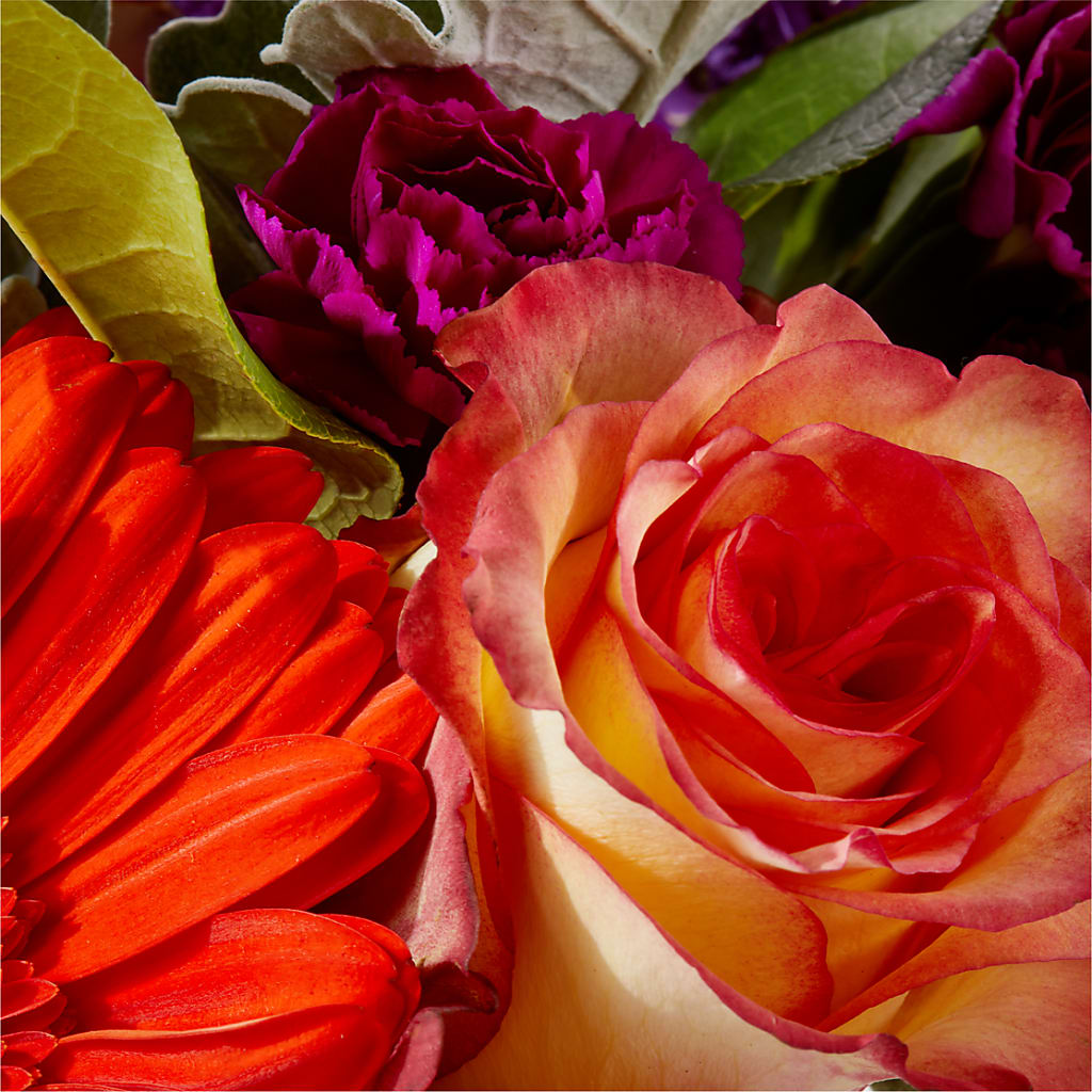 Sangria Bouquet –  Wheeling Flower Shop Inc, Wheeling WV