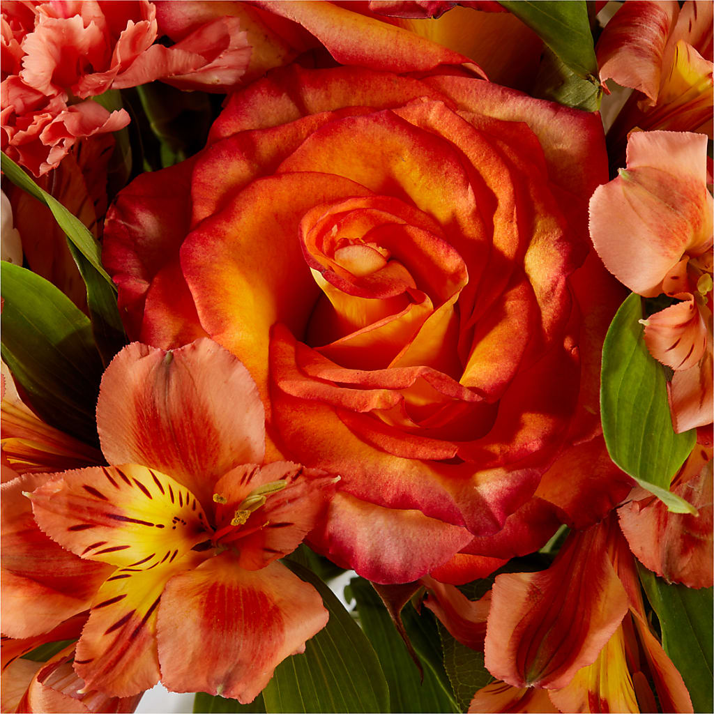Apricot Glow Bouquet –  Wheeling Flower Shop Inc, Wheeling WV