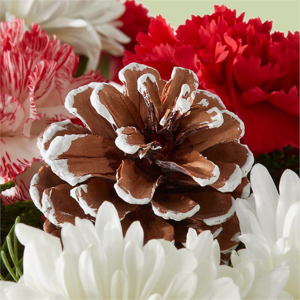 Candy Cane Lane Bouquet –  Wheeling Flower Shop Inc, Wheeling WV