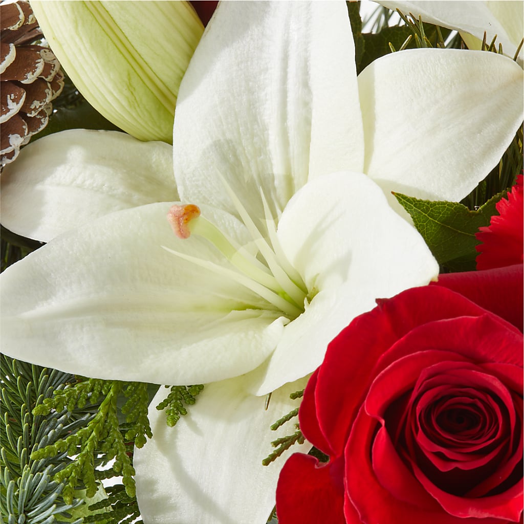 Oh So Jolly Bouquet –  Wheeling Flower Shop Inc, Wheeling WV
