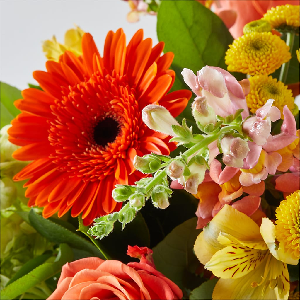 Autumn Sunshine Bouquet –  Wheeling Flower Shop Inc, Wheeling WV
